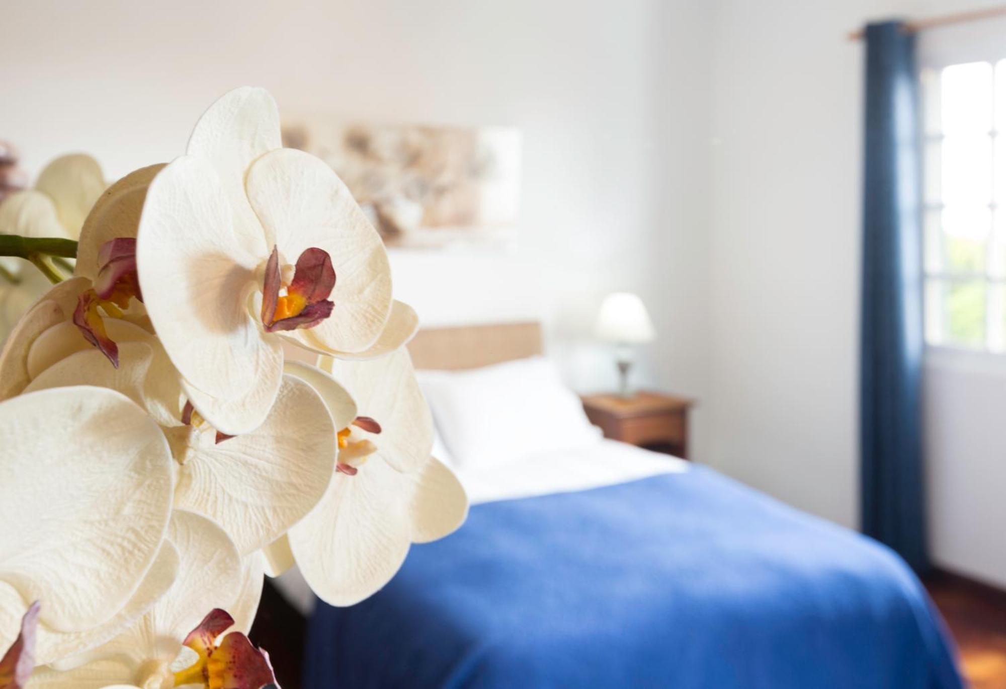 Charming Apartments In Funchal - Sao Goncalo Phòng bức ảnh